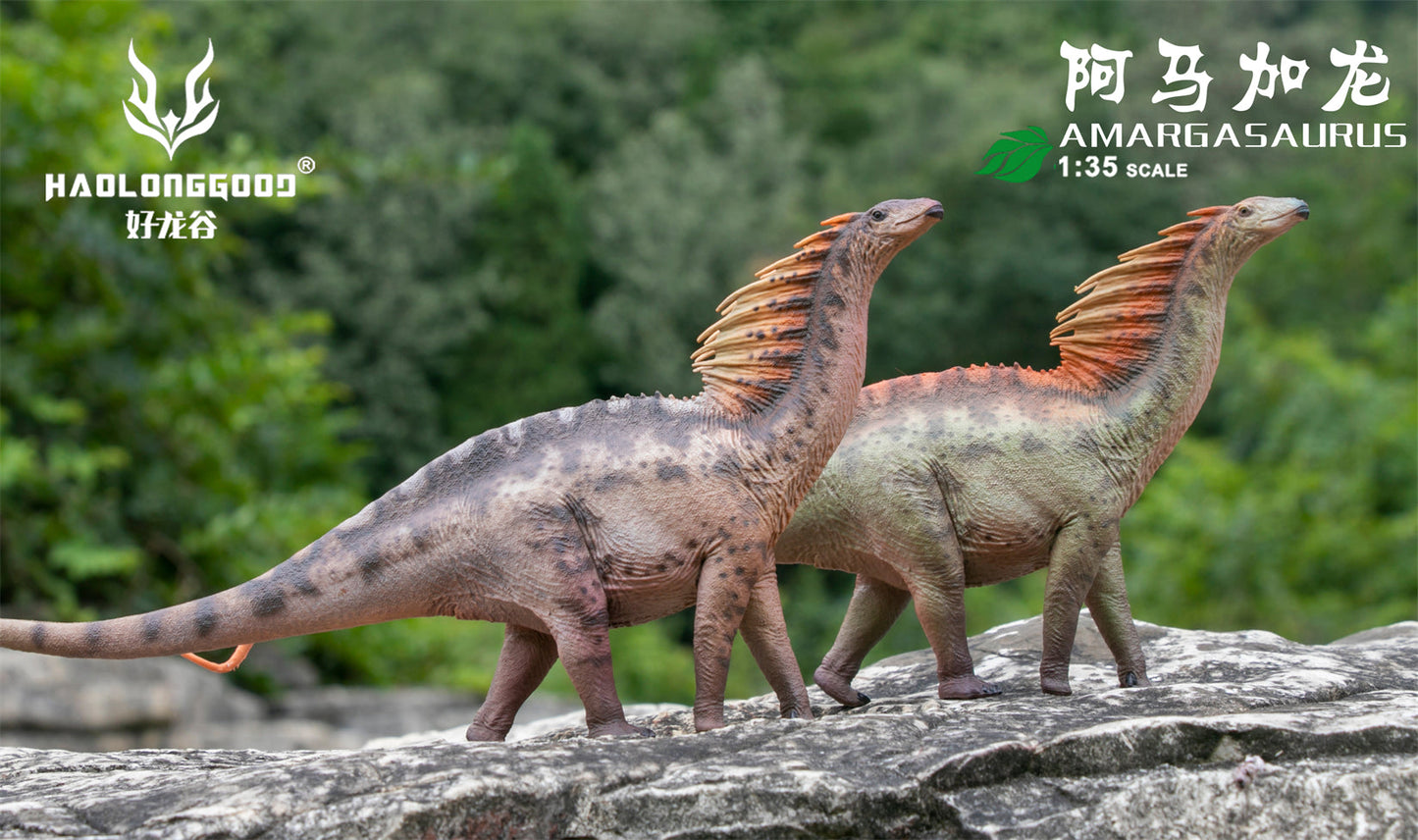 Haolonggood 1/35 Scale Amargasaurus Model