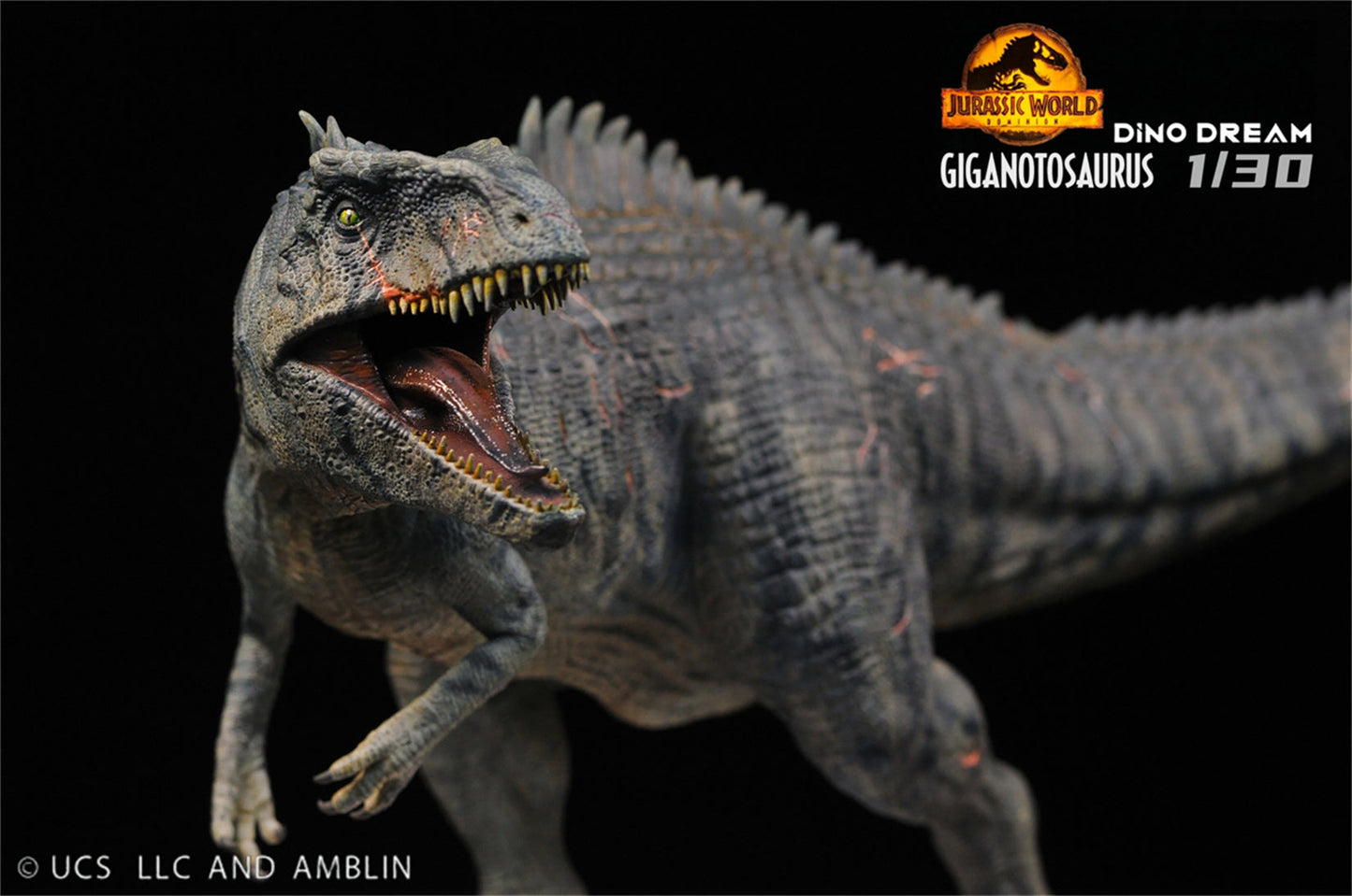 (Pre-order) Dino Dream 1/30 Giganotosaurus Statue