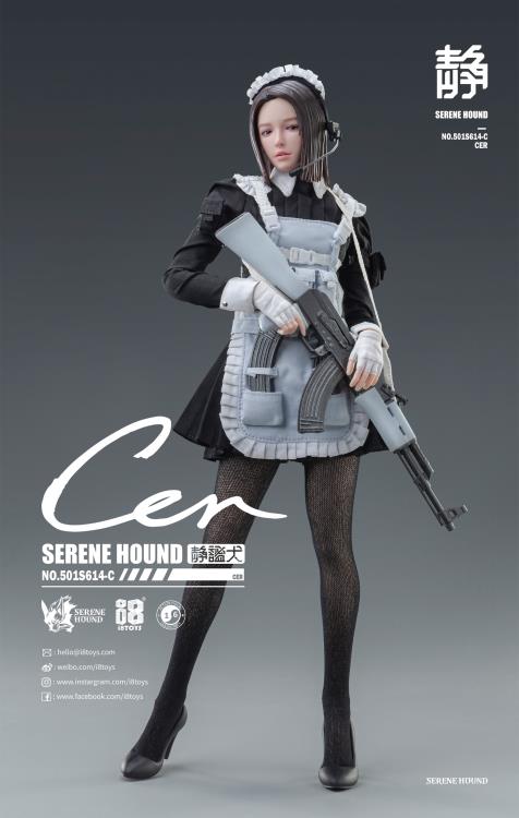 The Serene Hound Troops are the exclusive armed forces team sent to annihilate all potential threats toward human society brought on by witches that possess supernatural powers. To deal with the increasing number of witches, the Committee implemented the cloning plan called Hematopoietic Agent. The program clones outstanding members of the Serene Hounds to get an army of superior soldiers. Serene Hound figures Be and Rus shown as reference and not included in purchase (sold separately).