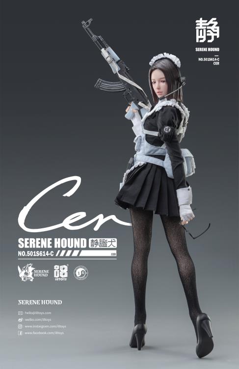 The Serene Hound Troops are the exclusive armed forces team sent to annihilate all potential threats toward human society brought on by witches that possess supernatural powers. To deal with the increasing number of witches, the Committee implemented the cloning plan called Hematopoietic Agent. The program clones outstanding members of the Serene Hounds to get an army of superior soldiers. Serene Hound figures Be and Rus shown as reference and not included in purchase (sold separately).