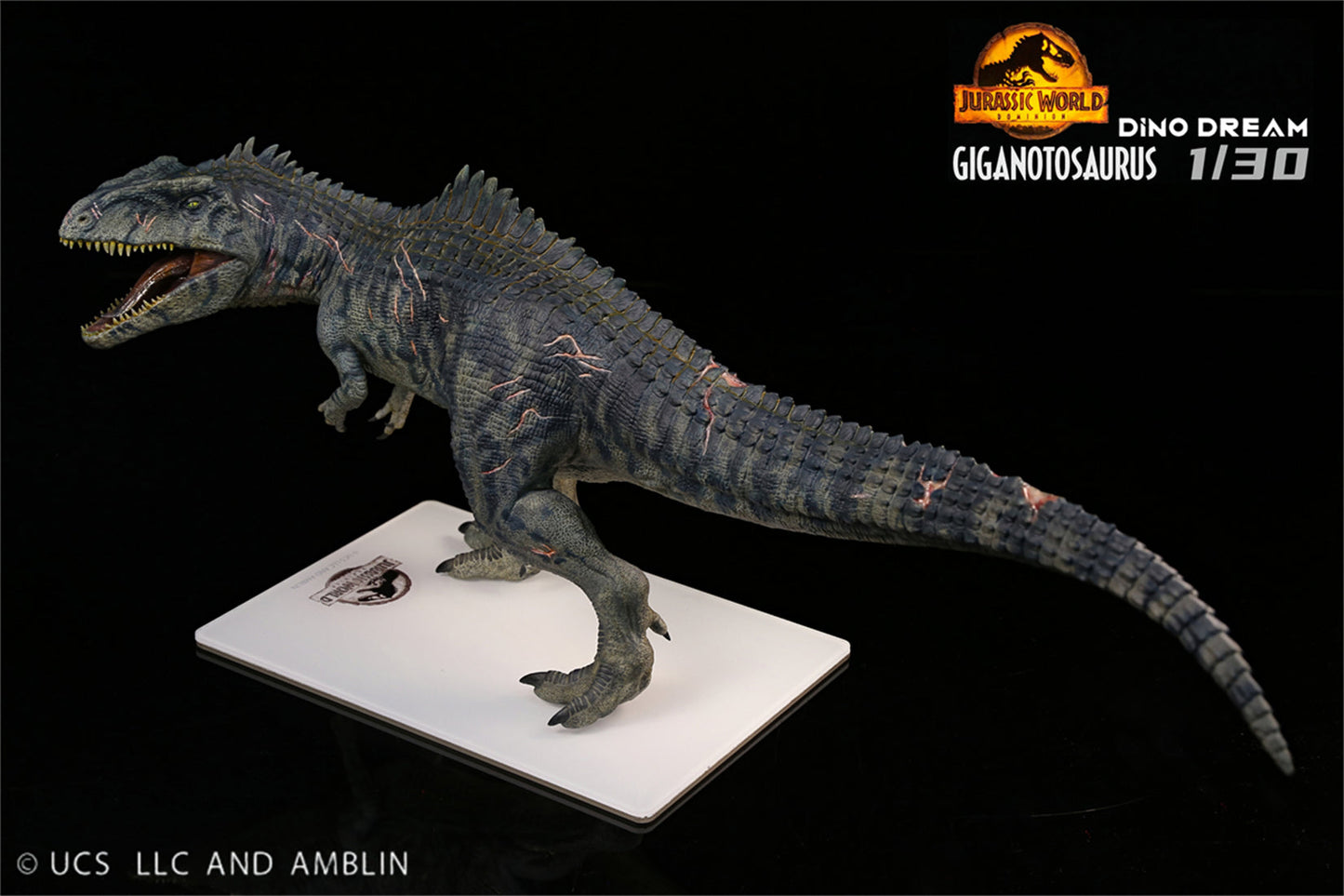 (Pre-order) Dino Dream 1/30 Giganotosaurus Statue