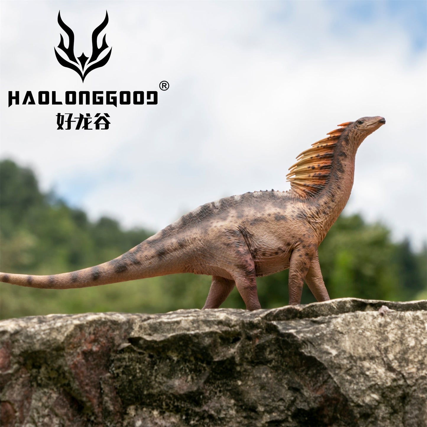 Haolonggood 1/35 Scale Amargasaurus Model