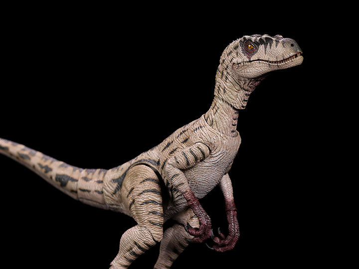 Nanmu Studio proudly presents the first of their new movable Zero-Set Easy Motion series. Featuring 24 movable joints and a flexible rubber tail, these highly detailed figures will allow you to recreate any action scene. Velociraptor Blood Knight figure sold separately.