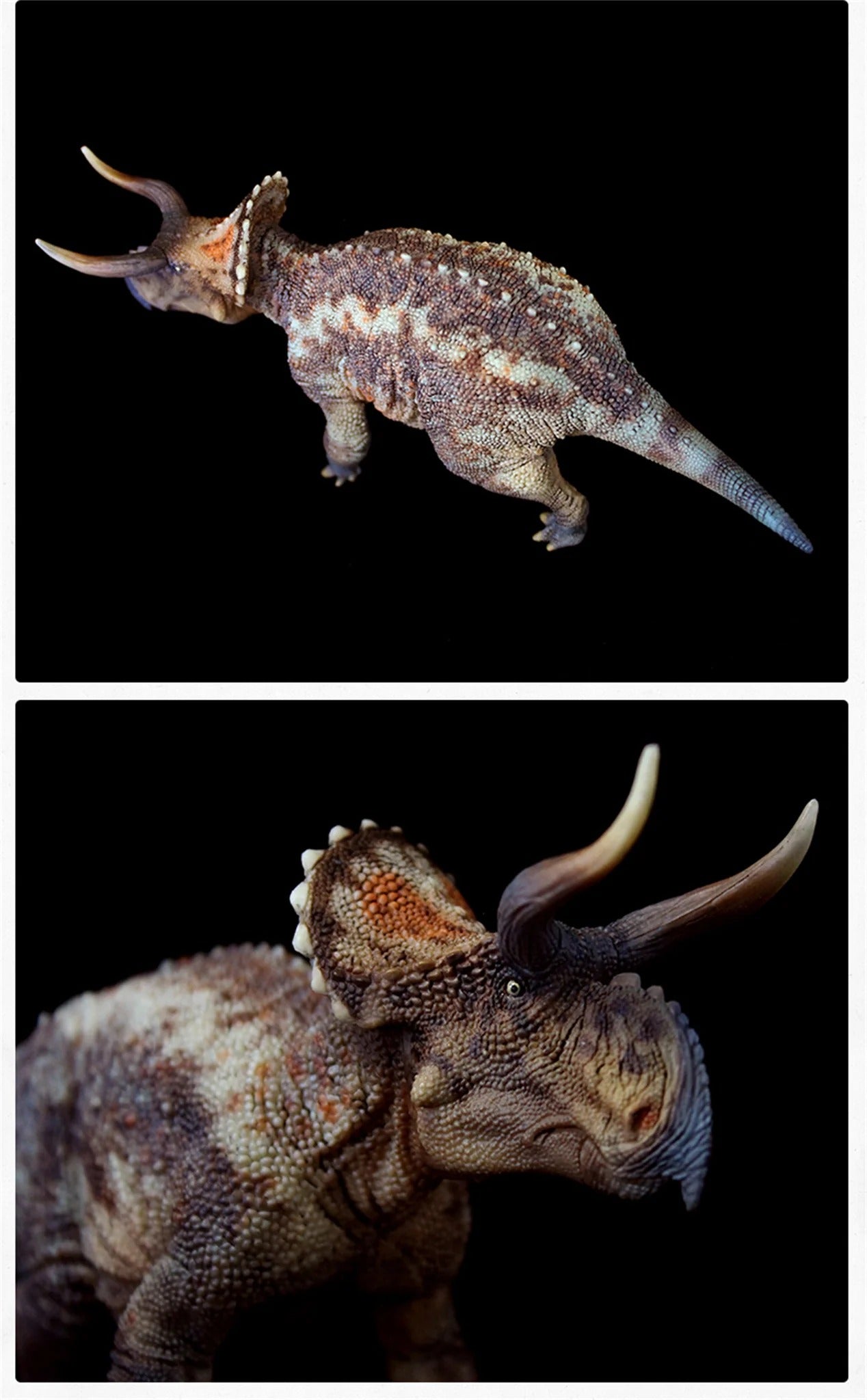 HaoLongGood Nasutoceratops 1/35 Statue