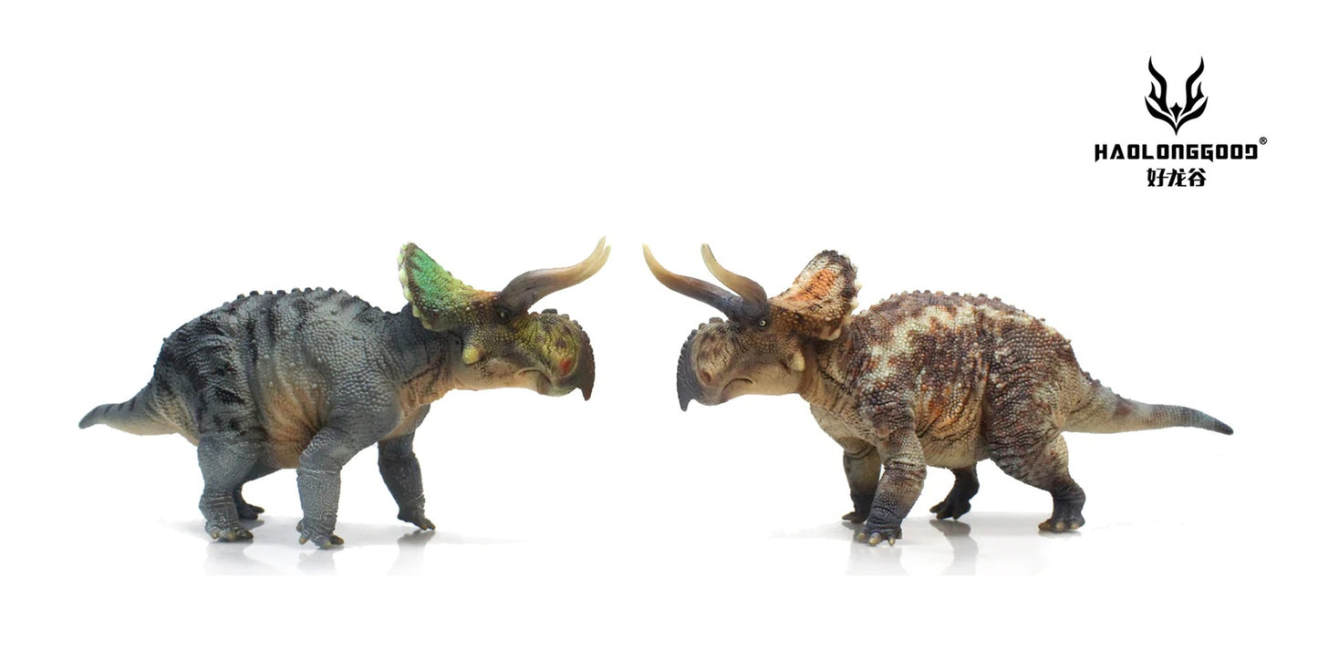 HaoLongGood Nasutoceratops 1/35 Statue