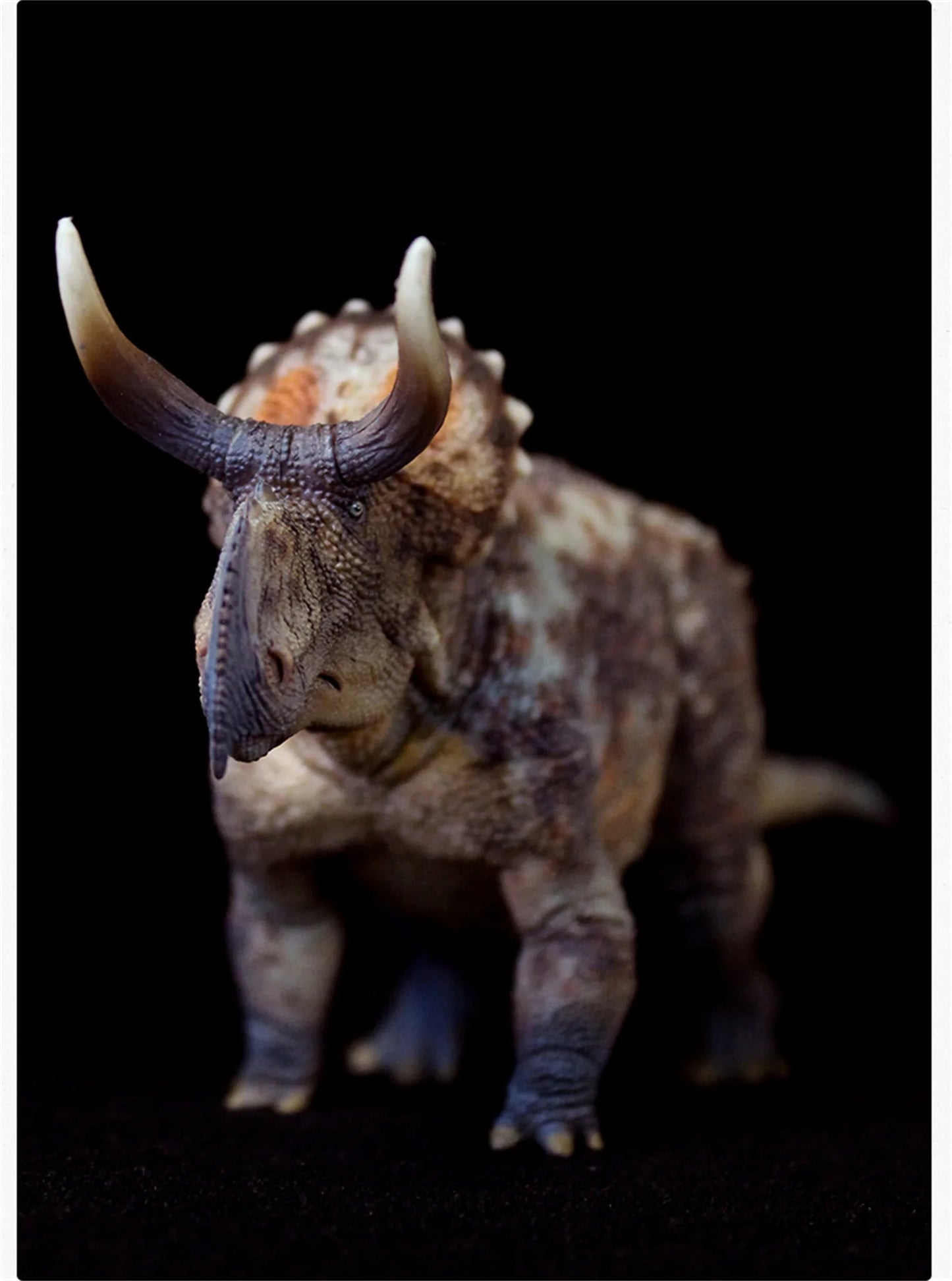 HaoLongGood Nasutoceratops 1/35 Statue