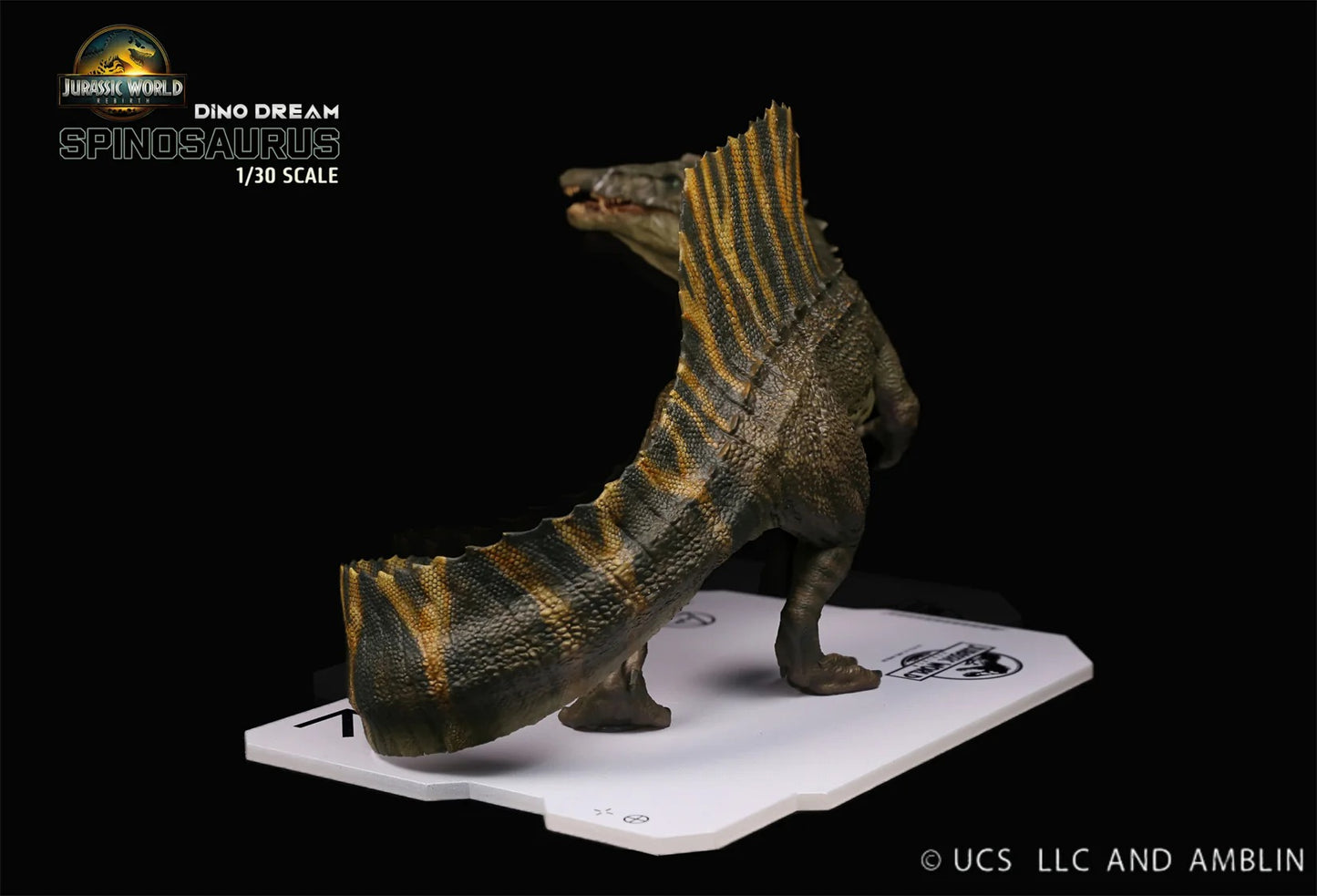 (Pre-order) Dino Dream 1/30 Spinosaurus stand version model