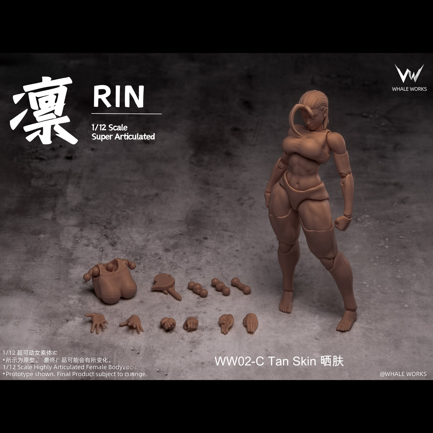 (Pre-order) Whale Works 1/12 Super Articulate figures Rin