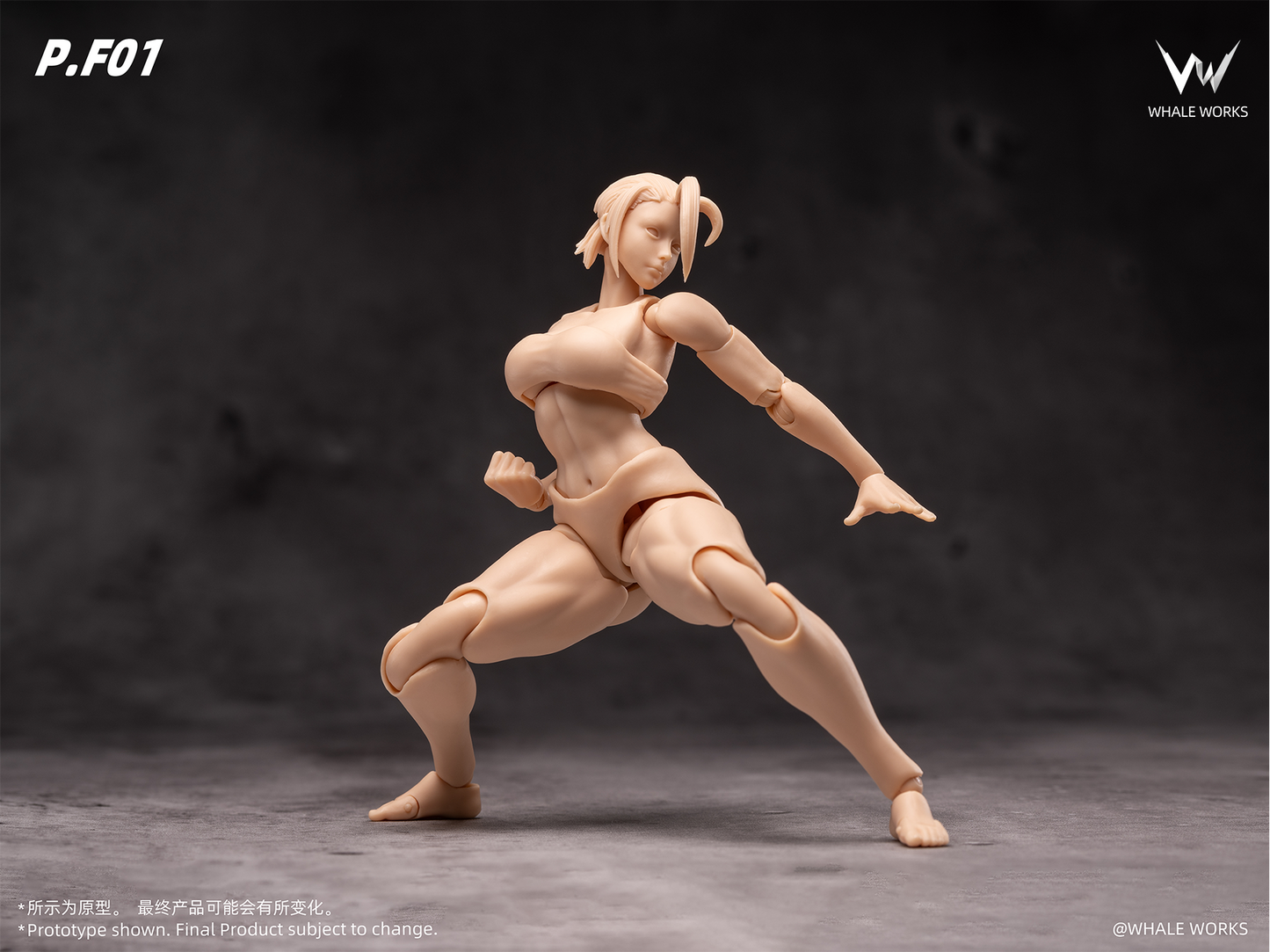 (Pre-order) Whale Works 1/12 Super Articulate figures Rin