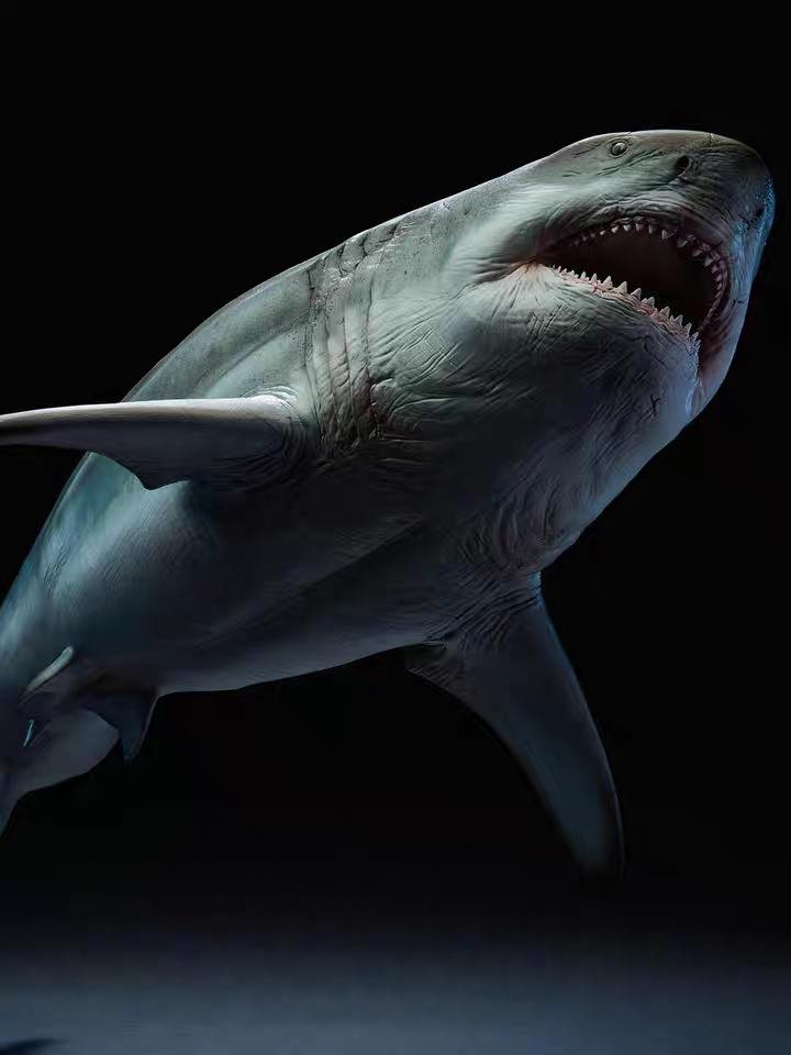 (Pre-order) W-Dragon Megalodon Ghost Jaw 1/35 Statue