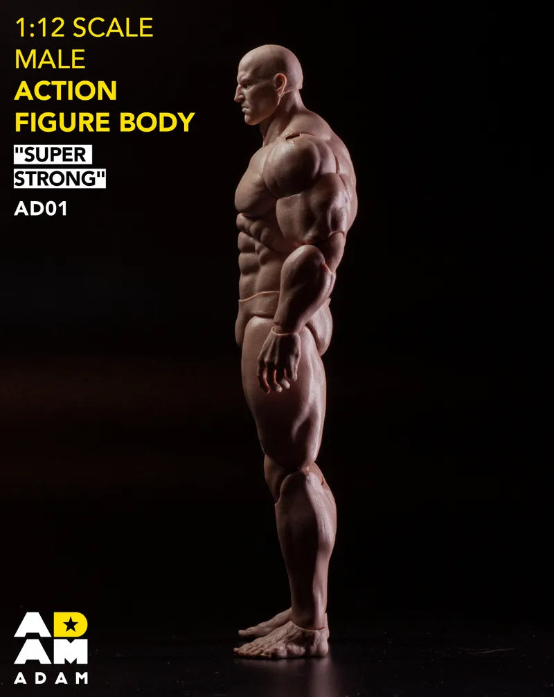 Muff Toys Adam 1/12 Super Strong Male Figure Body