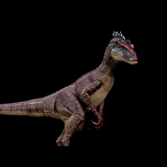 Nanmu Studio proudly presents the first of their new movable Zero-Set Easy Motion series. Featuring 24 movable joints and a flexible rubber tail, these highly detailed figures will allow you to recreate any action scene.  Velociraptor White Queen figure sold separately.