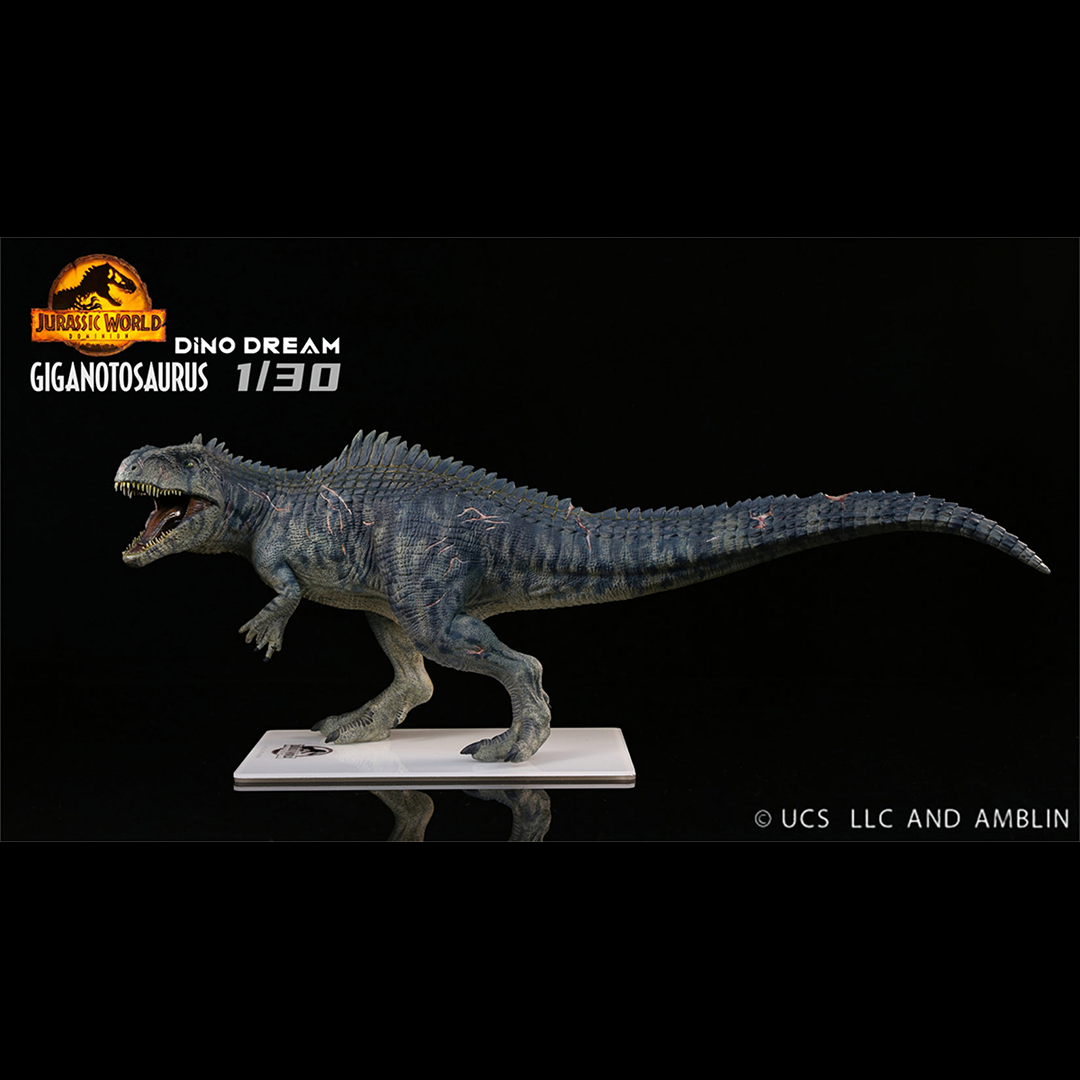 (Pre-order) Dino Dream 1/30 Giganotosaurus Statue