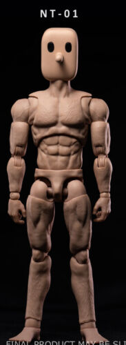 Notaman 1/12 Scale Male Customised Body Model NT01 NT02 NT02W