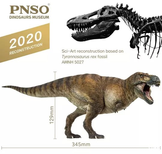 PNSO’s Dinosaurs Museum Wilson The Tyrannosaurus Rex 009 is a 1:35 Scale Scientific Art Model from Yiniao Sci-Art. Made from solid PVC. Sci-Art reconstruction based on Tyrannosaurus rex fossil AMNH5027
