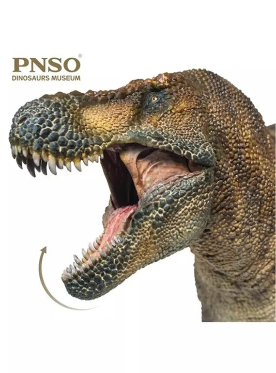 PNSO’s Dinosaurs Museum Wilson The Tyrannosaurus Rex 009 is a 1:35 Scale Scientific Art Model from Yiniao Sci-Art. Made from solid PVC. Sci-Art reconstruction based on Tyrannosaurus rex fossil AMNH5027