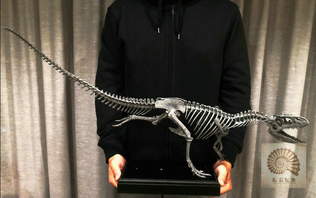Ammonites Manufacturing Allosaurus Dinosaur Skeleton 1/10 Figure/ Statue with Wooden Base