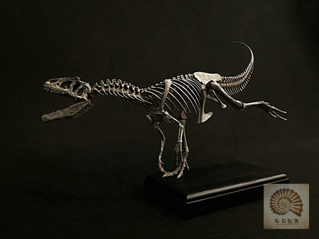 Ammonites Manufacturing Allosaurus Dinosaur Skeleton 1/10 Figure/ Statue with Wooden Base