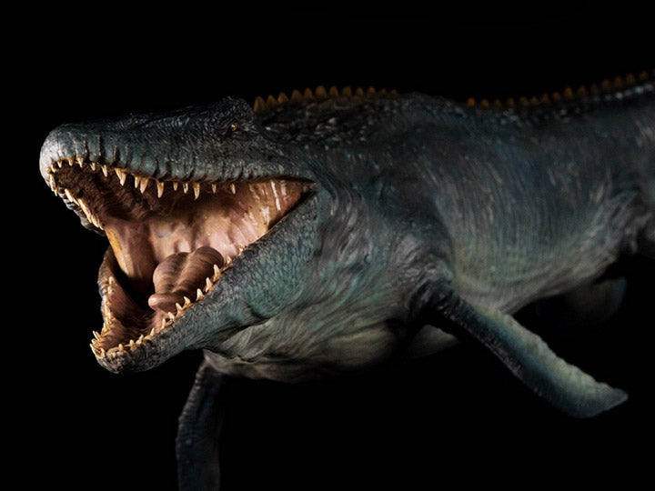 From Nanmu Studio, the Jurassic Series Mosasaurus Lord of Abyss statue is a must have for any dinosaur enthusiast. This realistically sculpted Mosasaurus measures an impressive 25 inches and features a highly detailed and an exquisite painted finish.