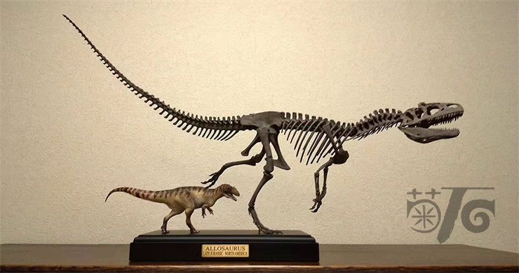 Ammonites Manufacturing Allosaurus Dinosaur Skeleton 1/10 Figure/ Statue with Wooden Base