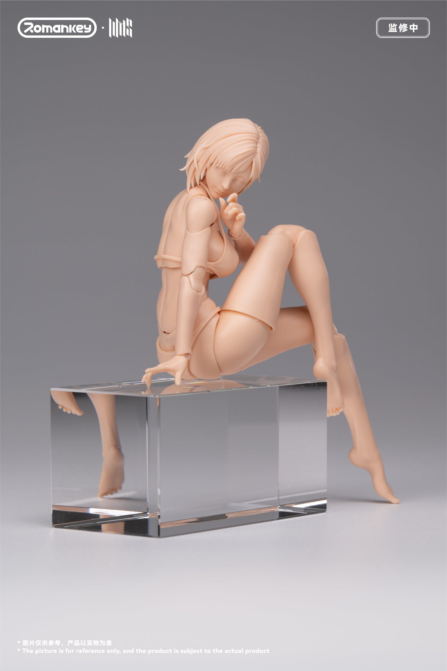 (Preorder) Romankey UMS004 Mia 1/12 Super Movable female body action figure