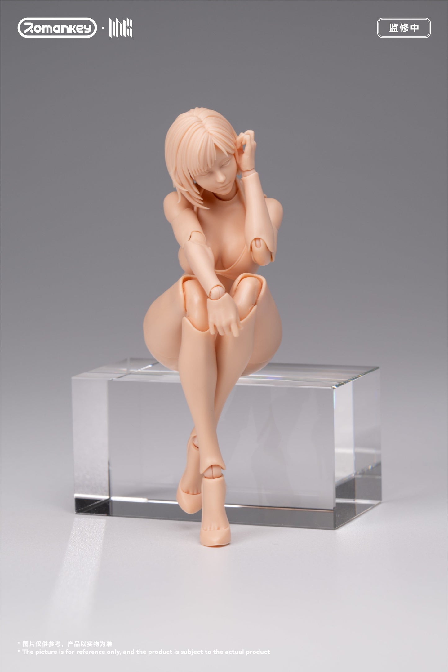 (Preorder) Romankey UMS004 Mia 1/12 Super Movable female body action figure