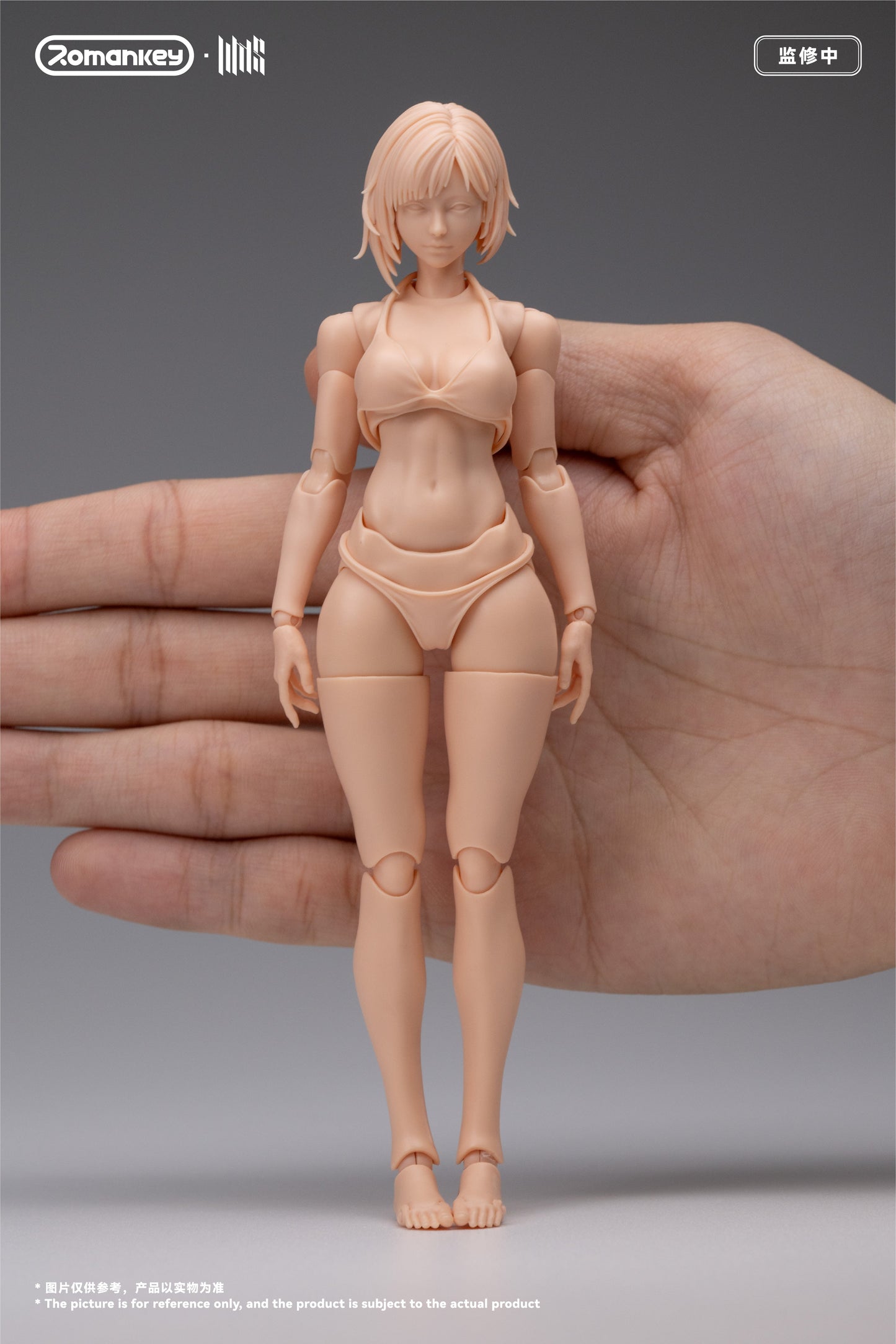 (Preorder) Romankey UMS004 Mia 1/12 Super Movable female body action figure