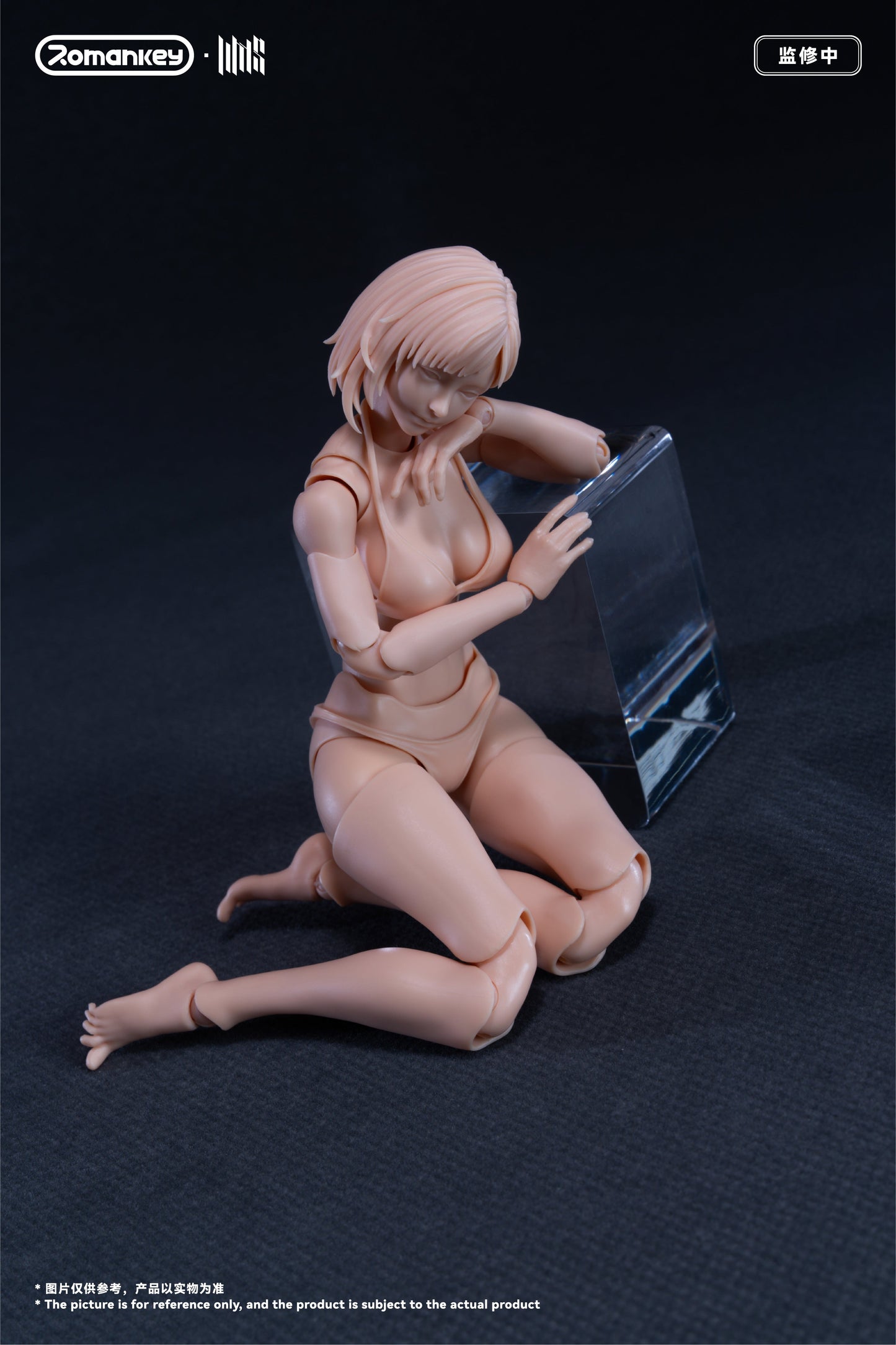(Preorder) Romankey UMS004 Mia 1/12 Super Movable female body action figure