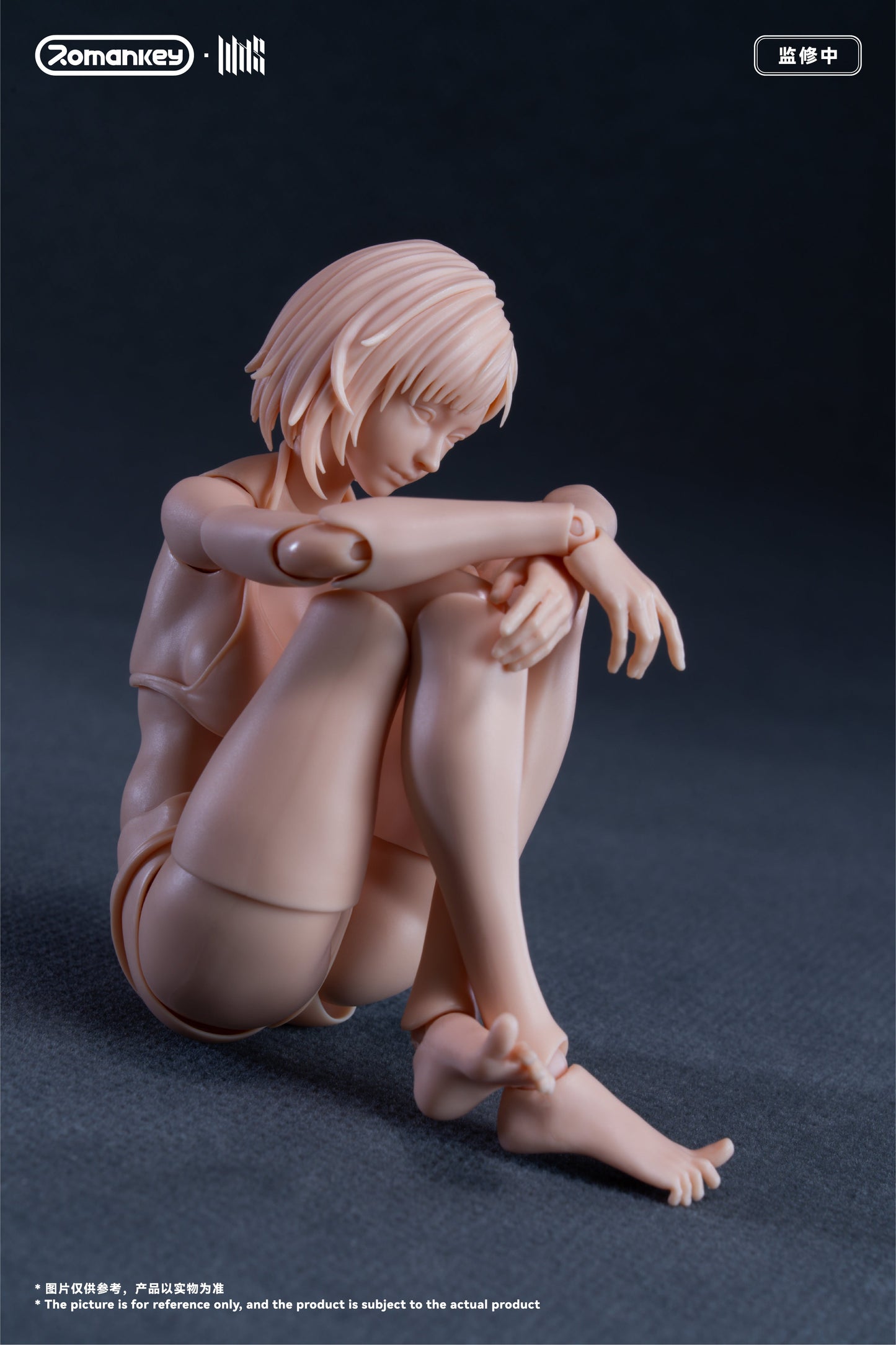 (Preorder) Romankey UMS004 Mia 1/12 Super Movable female body action figure