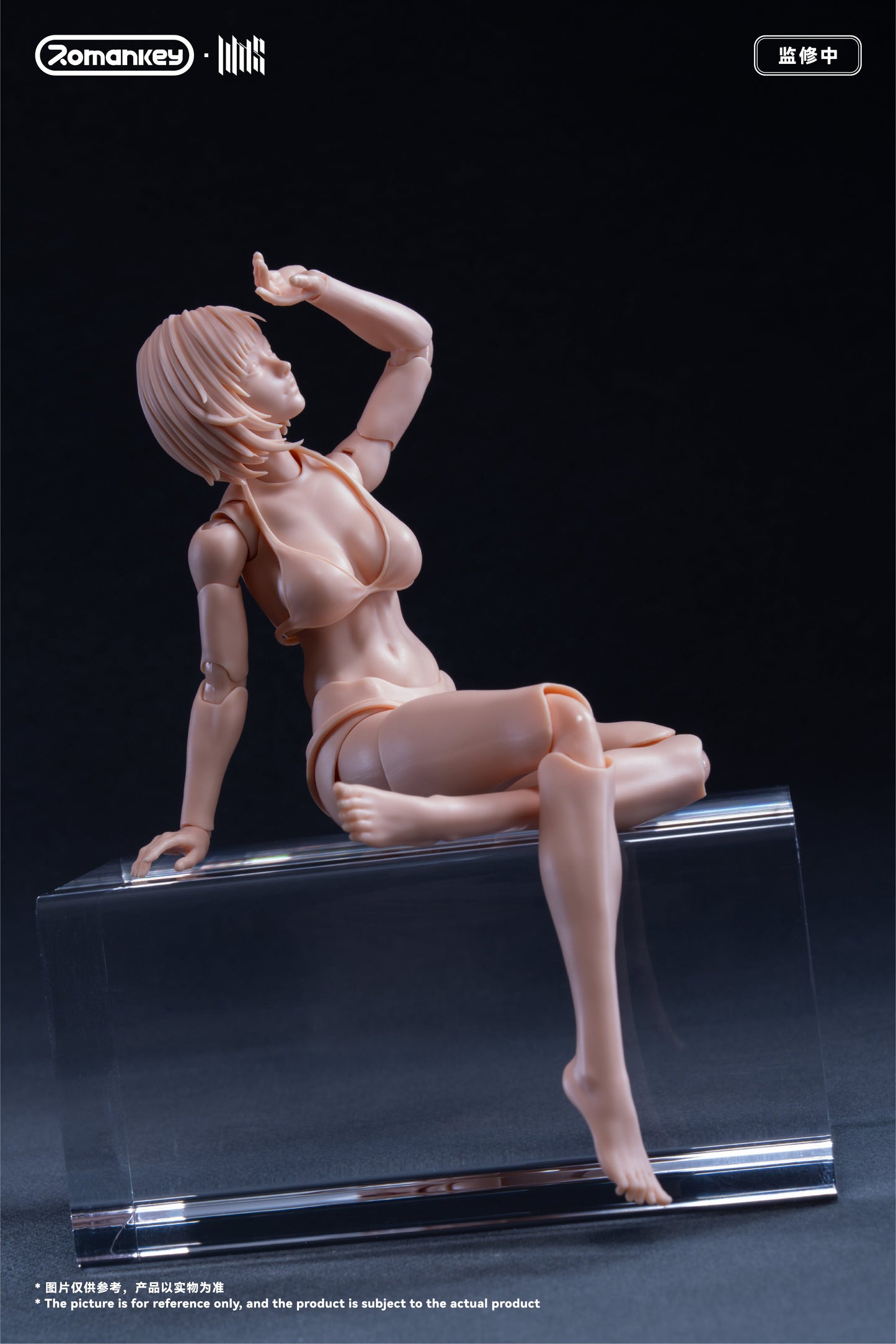 (Preorder) Romankey UMS004 Mia 1/12 Super Movable female body action figure