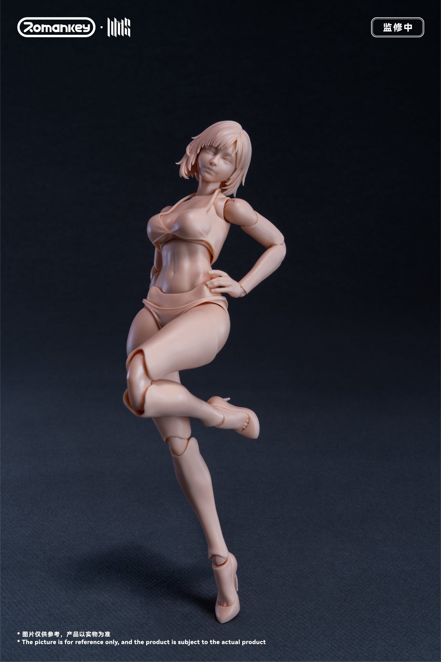 (Preorder) Romankey UMS004 Mia 1/12 Super Movable female body action figure