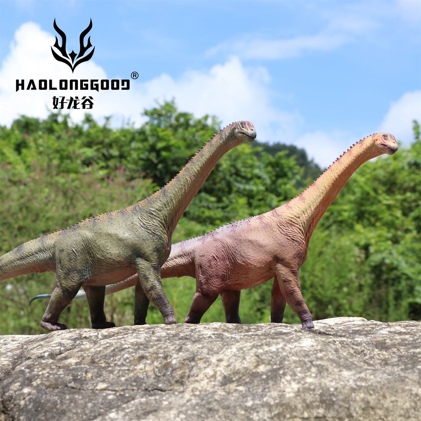 Haolonggood 1/35 Scale Camarasaurus Model