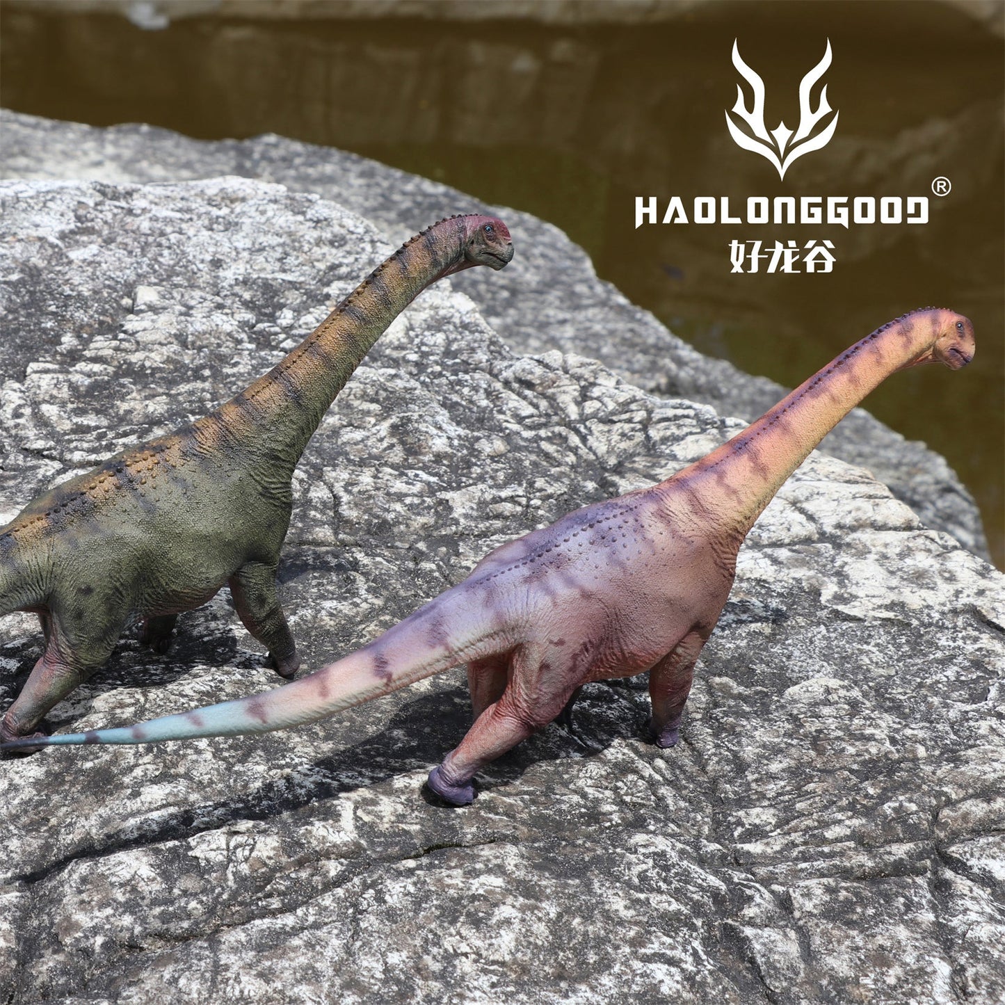 Haolonggood 1/35 Scale Camarasaurus Model