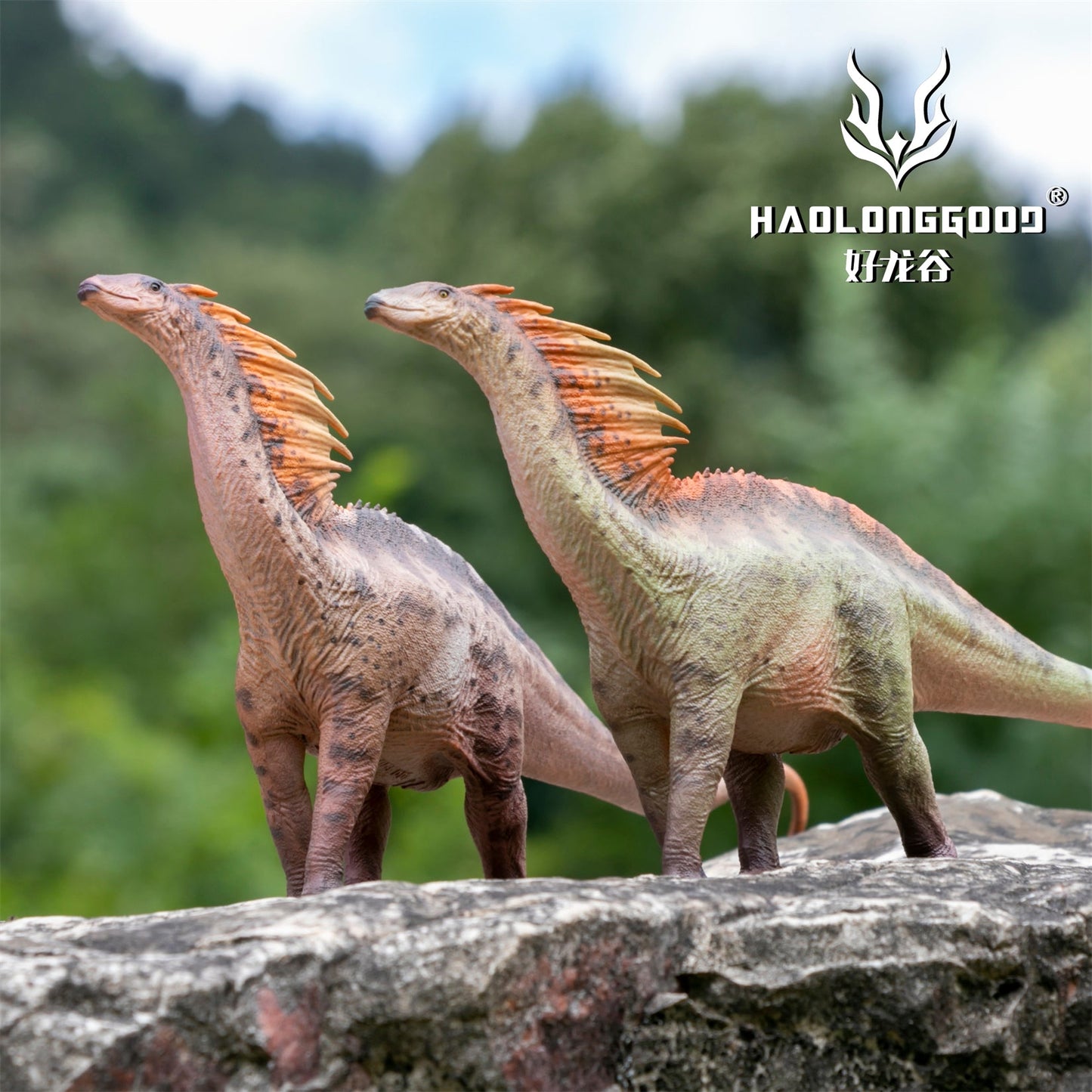 Haolonggood 1/35 Scale Amargasaurus Model