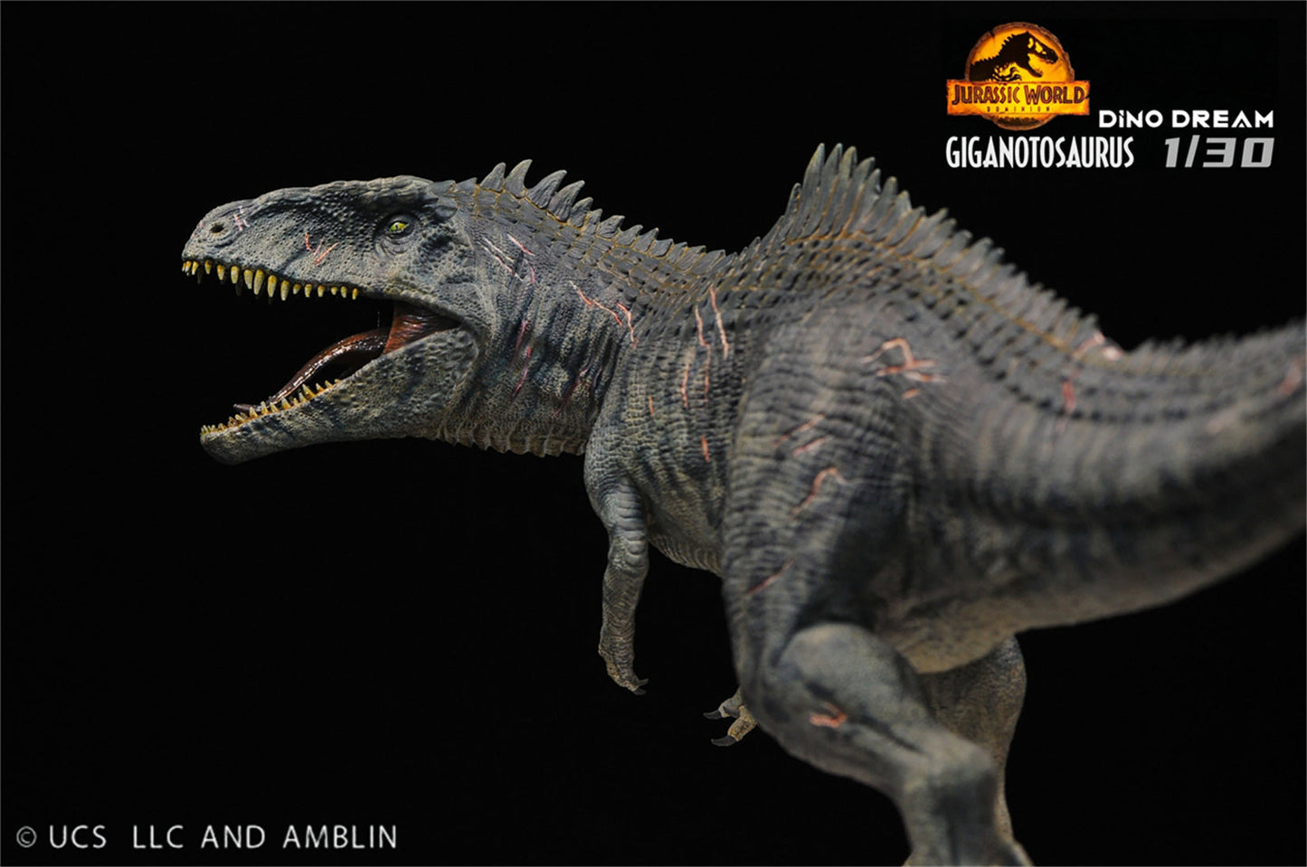 (Pre-order) Dino Dream 1/30 Giganotosaurus Statue