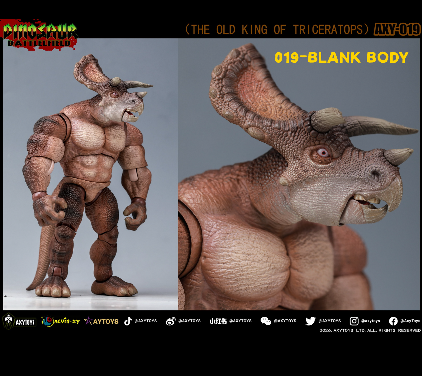 (Pre-order) Axytoys Dino battlefield King of Triceratops 019 figure
