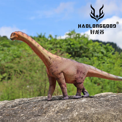 Haolonggood 1/35 Scale Camarasaurus Model