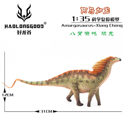 Haolonggood 1/35 Scale Amargasaurus Model