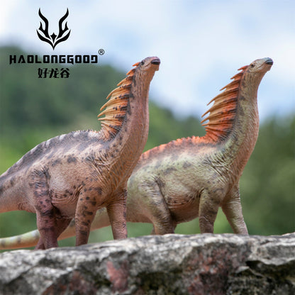 Haolonggood 1/35 Scale Amargasaurus Model