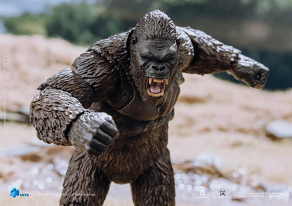 Embark on an expedition to an uncharted island and discover the domain of the colossal Kong with Hiya's Exquisite Basic series! From Kong: Skull Island (2017), the Exquisite Basic Kong stands just under 6" tall and faithfully replicates his appearance from the film. From Kong's intimidating gaze to the chest of battle scars, every detail is finely crafted, emphasizing the power of the mighty ruler of Skull Island.