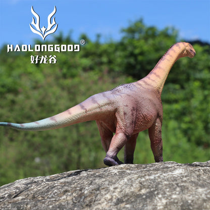 Haolonggood 1/35 Scale Camarasaurus Model