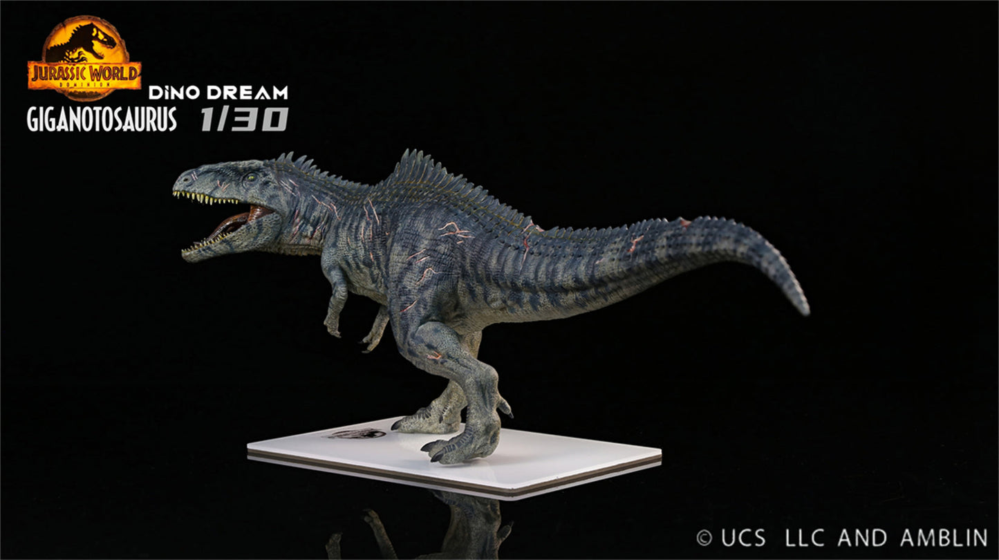 (Pre-order) Dino Dream 1/30 Giganotosaurus Statue