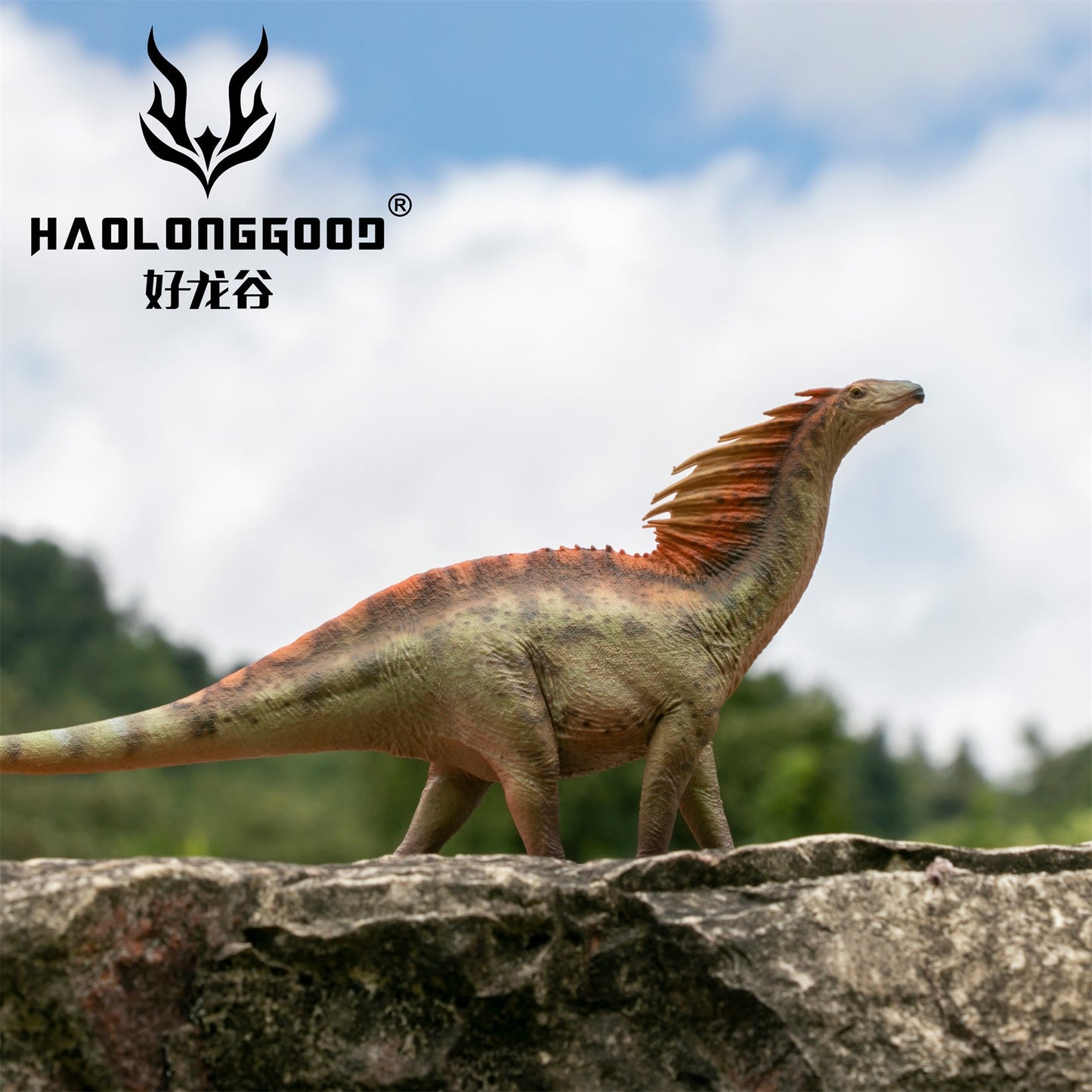 Haolonggood 1/35 Scale Amargasaurus Model