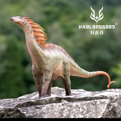 Haolonggood 1/35 Scale Amargasaurus Model