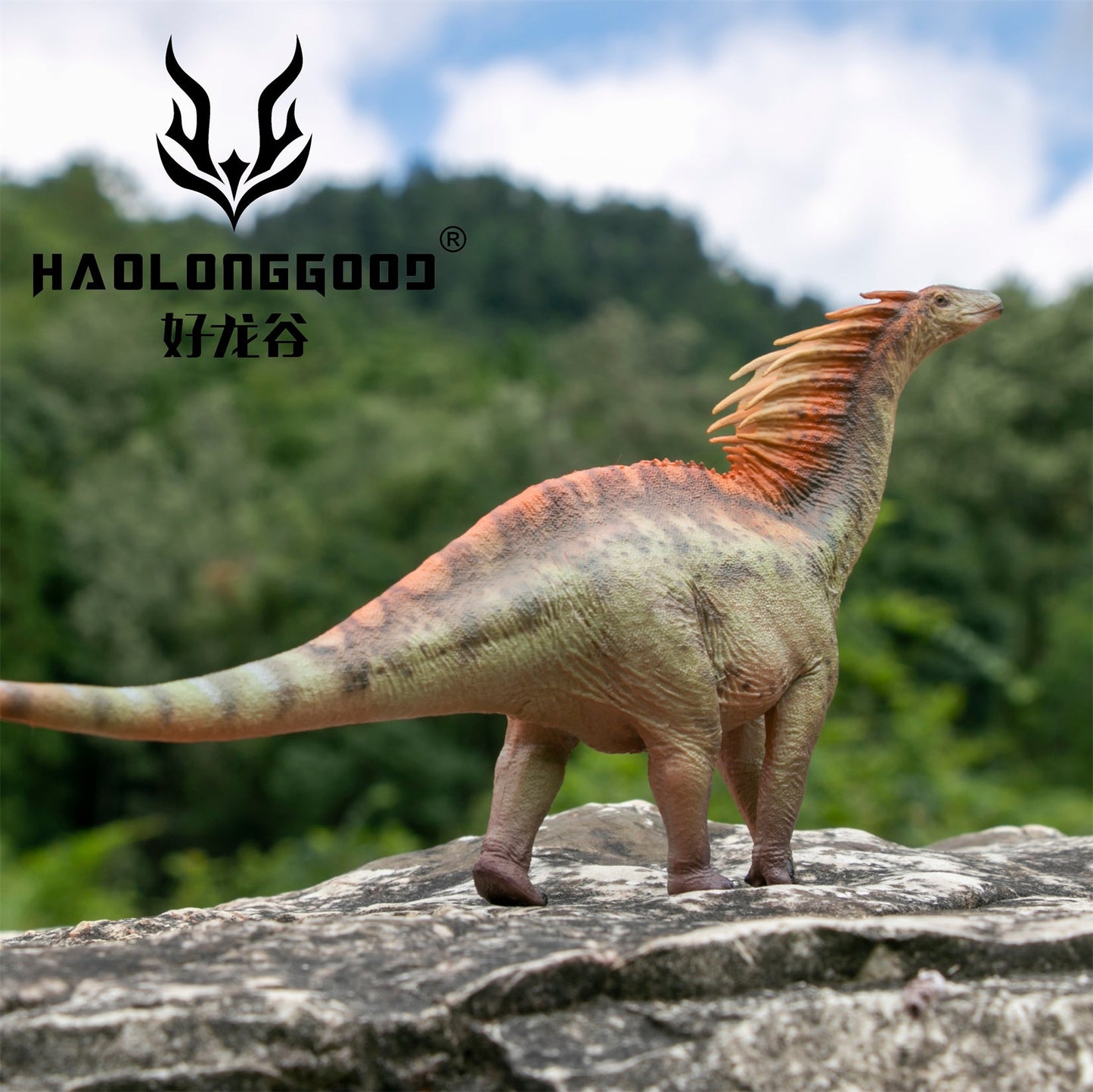 Haolonggood 1/35 Scale Amargasaurus Model