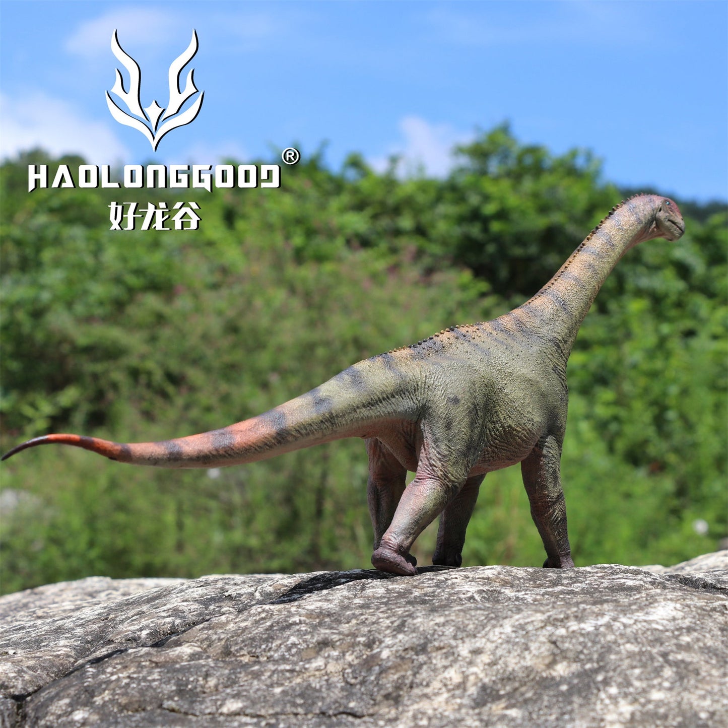 Haolonggood 1/35 Scale Camarasaurus Model