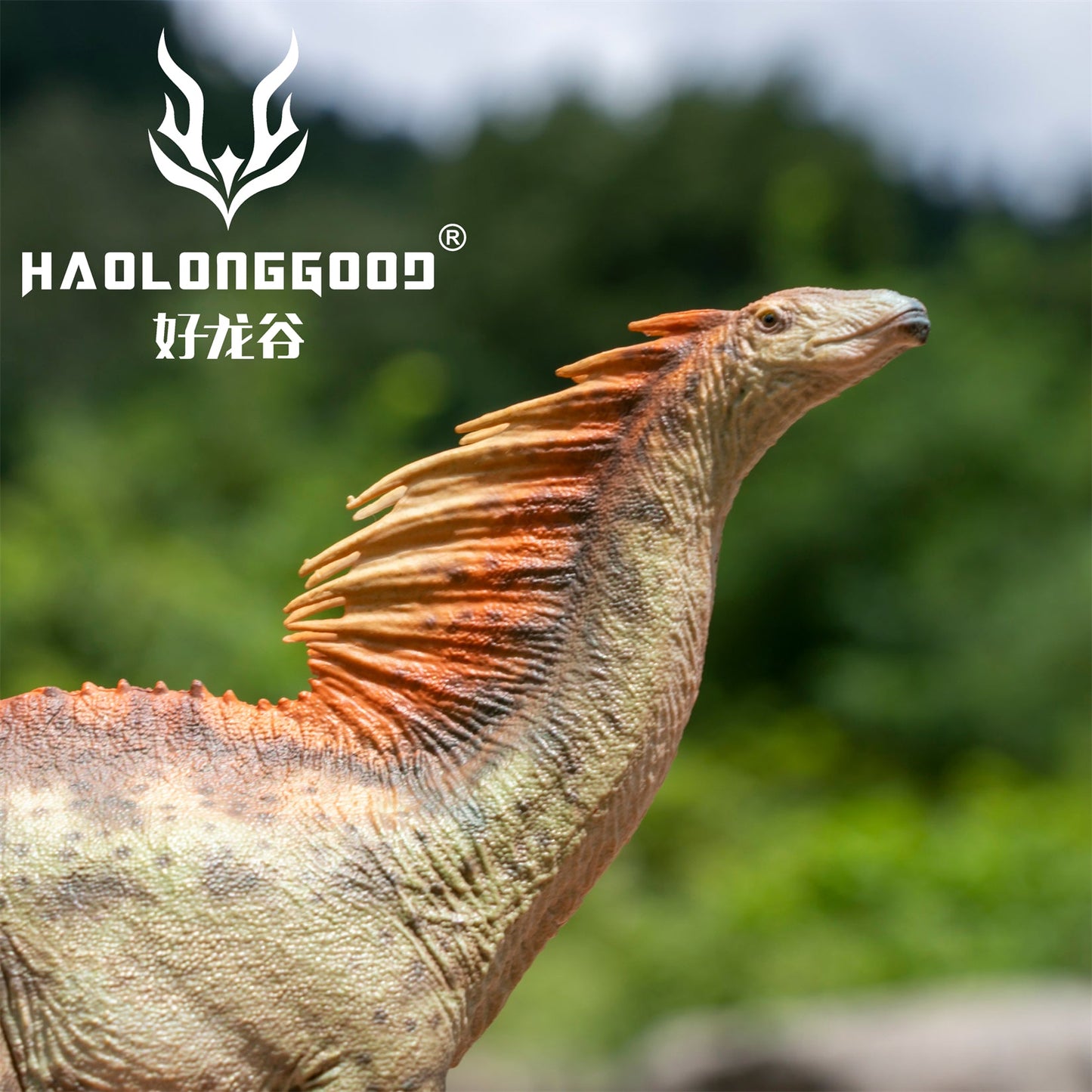 Haolonggood 1/35 Scale Amargasaurus Model