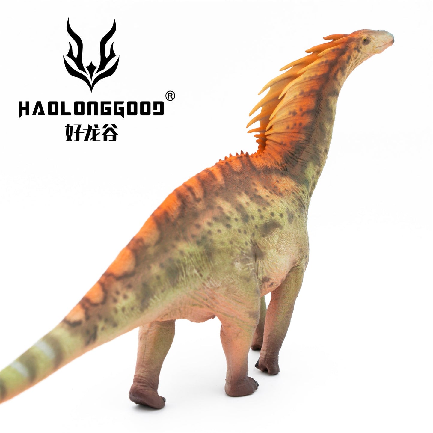 Haolonggood 1/35 Scale Amargasaurus Model