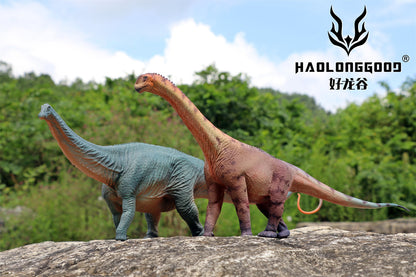 Haolonggood 1/35 Scale Camarasaurus Model