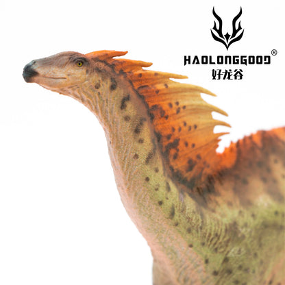 Haolonggood 1/35 Scale Amargasaurus Model